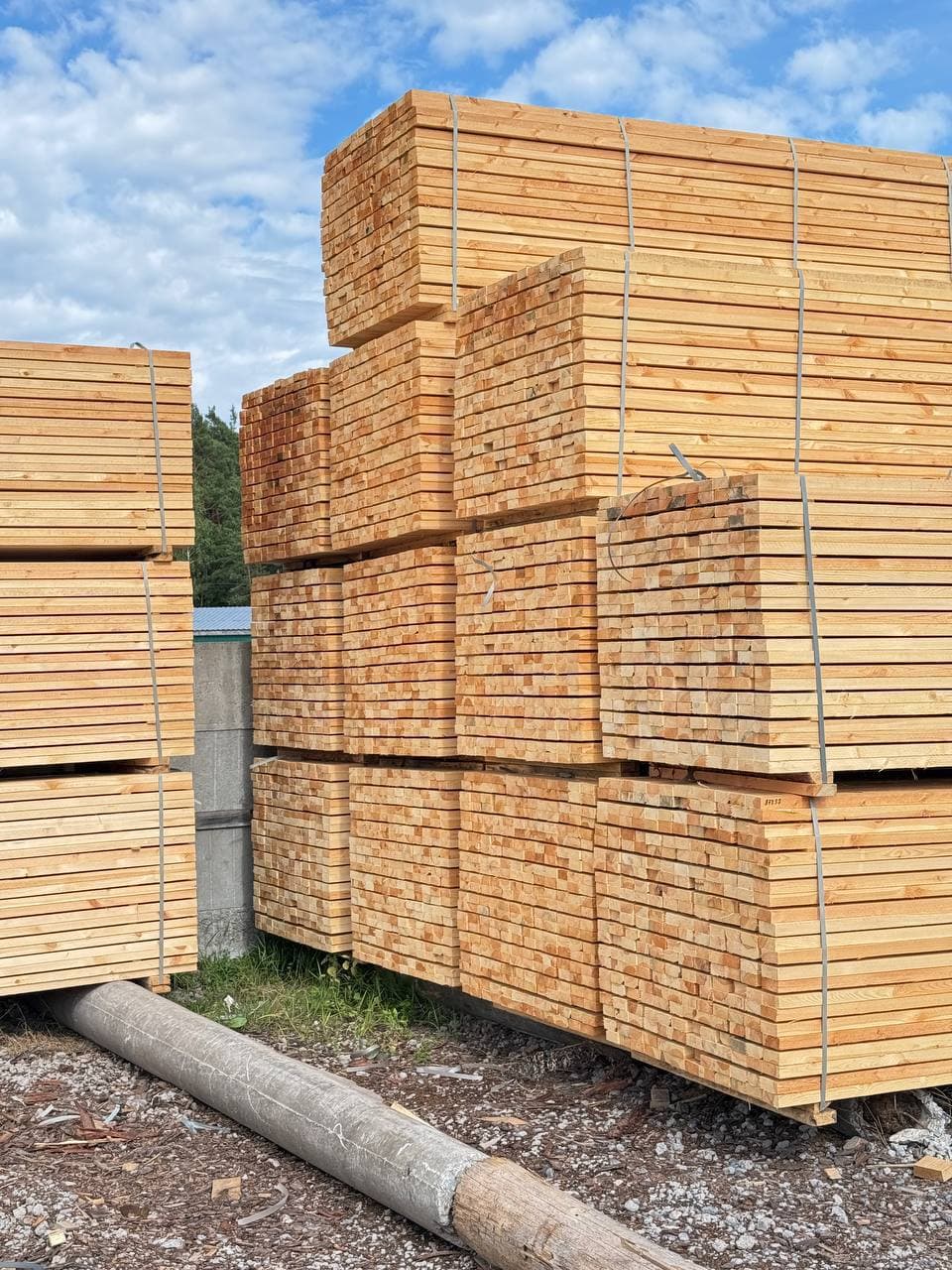 Beam 150 × 150 mm, Pine