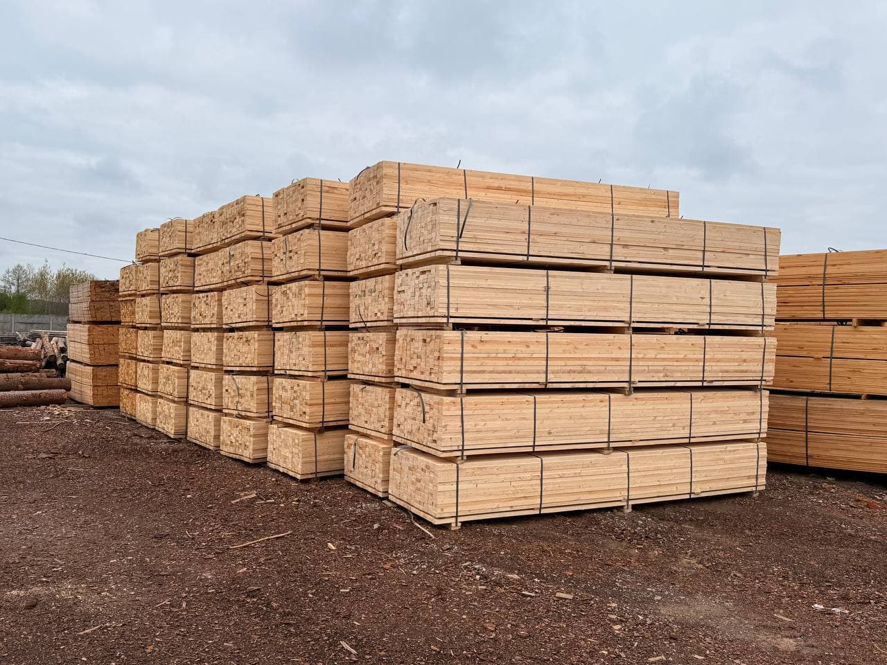 Unedged board 25 mm, Pine
